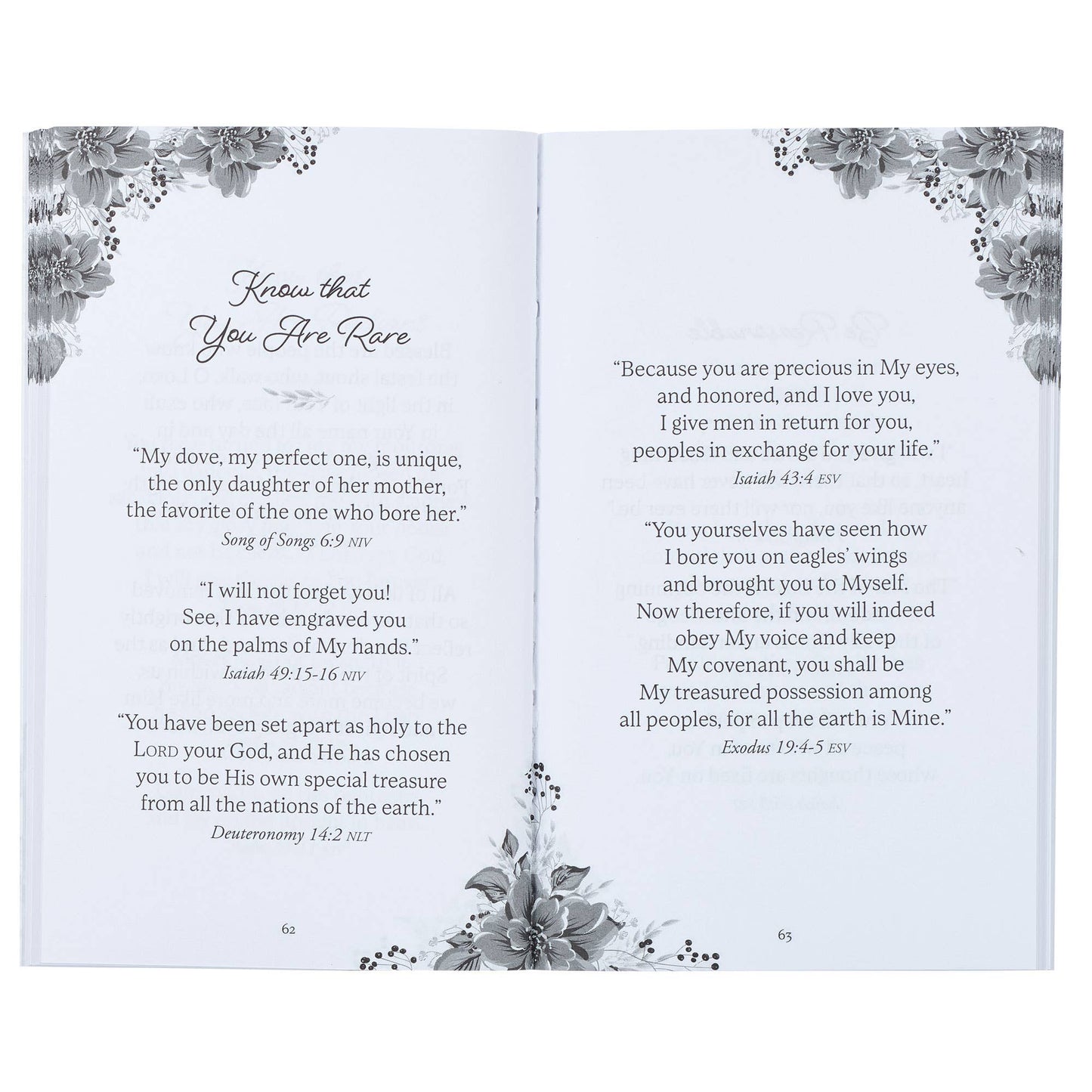 Promises from the Word for Women